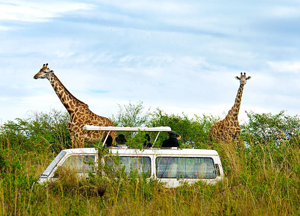 4 Days Safari